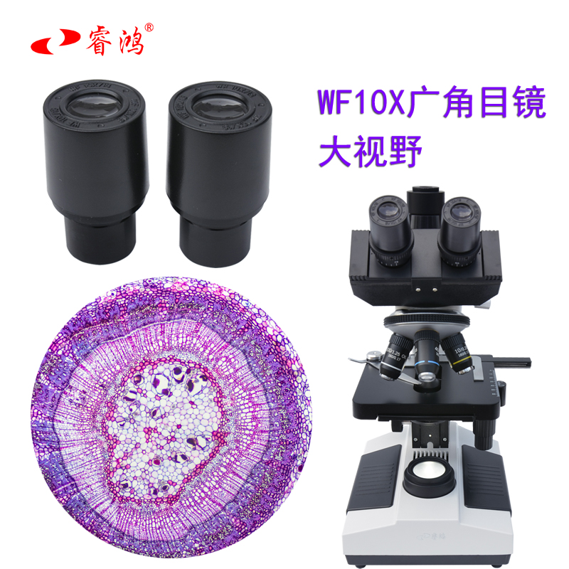 睿鸿生物显微镜相衬专业光学RH-107C学生科研科学10000倍双目相差