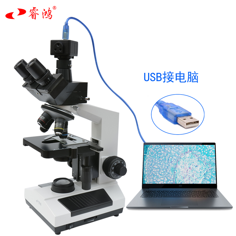 睿鸿生物显微镜相衬专业光学RH-107C学生科研科学10000倍双目相差